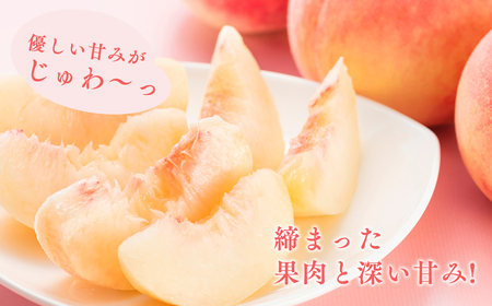 ≪8月下旬～9月中旬発送予定≫ 津軽の桃 川中島白桃 約3kg  秀品 《hi-0001-002》