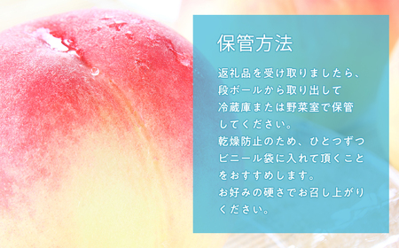 ≪8月下旬～9月中旬発送予定≫ 津軽の桃 川中島白桃 約5kg 秀品《hi-0001-003》