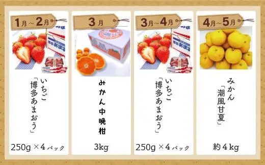 福岡県旬のフルーツ定期便【年10回コース】【1～2月開始】[H5261]