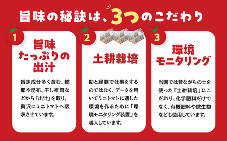 グランプリ受賞 完熟 出汁推し実 ミニトマト 1.5kg