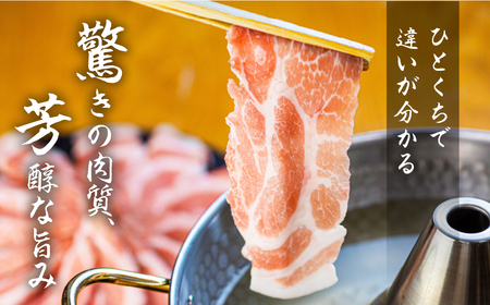 【定期便】国産 ブランド豚食べ比べ定期便6回 400g × 3 計 1.2kg  (100g 小分け)