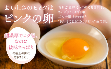 極上卵 30 個 割れ保証付き 卵