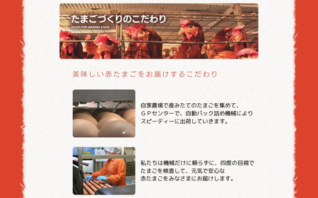 【定期便】希少2種 たまごセット 50個 6回 定期便 割れ保証付き