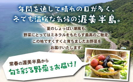 【定期便 】旬彩野菜セット定期便3回 旬の野菜 7品目以上