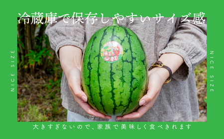 姫まくら　2玉