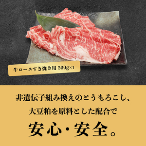 田原牛 スライスすき焼き セット 牛ロース スライス 500g すき焼き用 500g 牛肉 ビーフ しゃぶしゃぶ お取り寄せ 牛 特産 ご当地 グルメ 国産 霜降り ふるさと納税 肉 冷凍 贅沢 和食 洋食 祝 田原市 送料無料 30000 円 三万円 ３万円