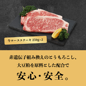 田原牛 堪能セット 牛ロース ステーキ250g×2 しゃぶしゃぶ用 500g すき焼き用 500g 牛肉 ビーフ 肩ロース ステーキ しゃぶしゃぶ お取り寄せ 牛 特産 ご当地 グルメ 国産 霜降り ふるさと納税 肉 冷凍 贅沢 和食 洋食 祝 田原市 送料無料