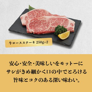 あつみ牛 堪能セット 牛ロース ステーキ250g×2 しゃぶしゃぶ用 500g すき焼き用 500g 牛肉 ビーフ 肩ロース ステーキ しゃぶしゃぶ お取り寄せ 牛 特産 ご当地 グルメ 国産 霜降り ふるさと納税 肉 冷凍 贅沢 和食 洋食 祝 田原市 送料無料