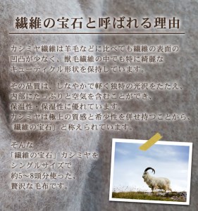 カシミヤ毛布 ひざ掛けサイズ [2163] | 毛布