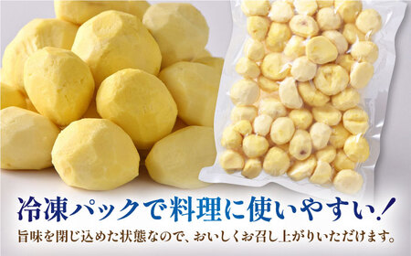 むき栗 約1kg 【株式会社あんず】[ZBT014]
