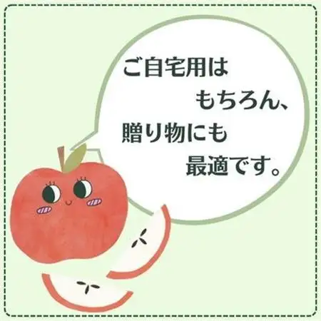信州りんご サンふじ(1段)2.8kg～3kg 優品【1508410】