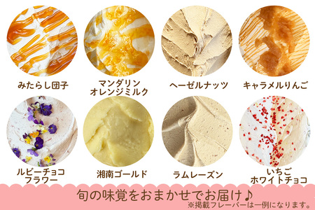 石田牧場のジェラート屋めぐり おまかせ ジェラート12個セット (石田ミルク 季節のジェラート) [0253]