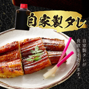 【土用の丑の日までに届く！】うなぎの蒲焼き2～3人前(1尾)｜鰻うなぎ