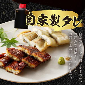 うなぎ【土用の丑の日までに届く！】うなぎの食べ比べセット2～3人前【蒲焼き・白焼きそれぞれ1/2尾】