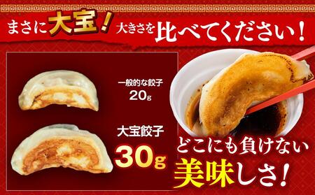 横浜大宝餃子 もちもち肉汁 ジャンボ餃子 60個（30×2）｜国産食材使用 冷凍餃子 ギョーザ 焼き餃子 お取り寄せ 中華総菜 中華 ギフト｜人気 おすすめ 送料無料｜神奈川県 横浜市 AKN0001
