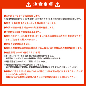 札幌市に泊まるふるさと納税旅行クーポン【10,000円分】
