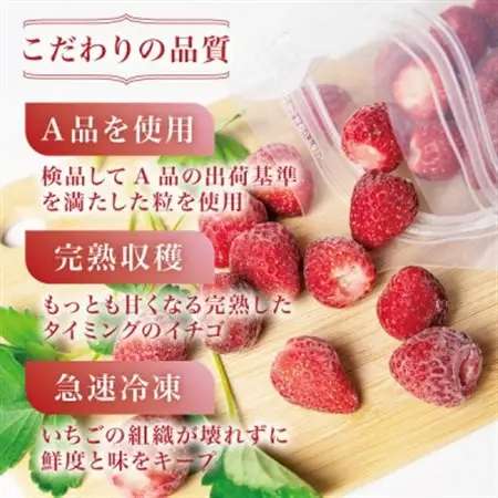 完熟朝摘み冷凍いちご『こおりヒルズ』500g【ヘタなし・急速冷凍】宮城のいちご農家から直送_果物・フルーツ いちご  イチゴ 苺_【配送不可地域：離島】【1497567】