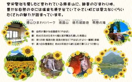 岩手県矢巾町（やはばちょう）応援寄附金（※返礼品なし）5,000円/矢幅 矢巾 観光地応援 支援 応援 国内旅行 教育 高齢者 医療 環境 防災 スポーツ 緑化 泊り お泊り 便利 お得 ホテル