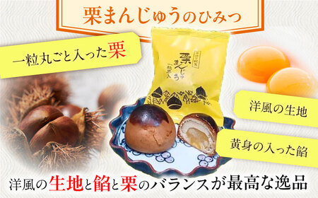 【当店自慢！お菓子詰め合わせ】佐々の 焼き菓子 Bセット 計15個入【栗まんじゅう本舗 小田製菓】[QAR013]