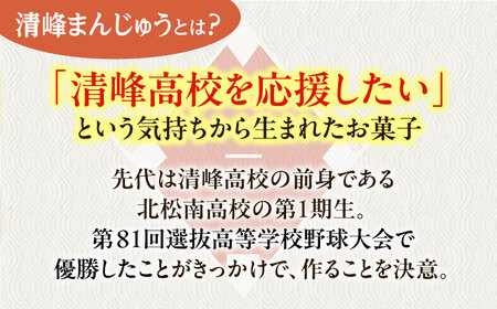 【当店自慢】こだわりの清峰まんじゅう 10個入り【栗まんじゅう本舗　小田製菓】[QAR016]