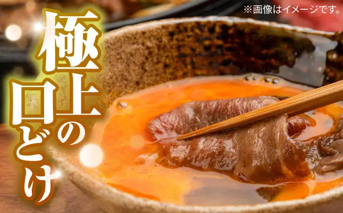 【12回定期便】長崎和牛 A5 赤身 切り落とし(モモ・バラ) 500g(250g×2) / 牛肉 和牛 モモ もも バラ バラ肉 すき焼き A5ランク 小間切れ / 諫早市 / 野中精肉店 [AHCW014]