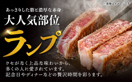 【6回定期便】ランプ ステーキ 300g（150g×2枚） / ステーキ 長崎和牛 A5ランク 希少部位 A5 / 諫早市 / 野中精肉店 [AHCW033]