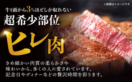 ヒレ【6回定期便】 A5 極上 ヒレ ステーキ 300g（150g×2枚） / ヒレ ヒレステーキ ヒレ肉ステーキ ヒレ肉 長崎和牛 A5 希少部位 A5 / 諫早市 / 野中精肉店 [AHCW048]