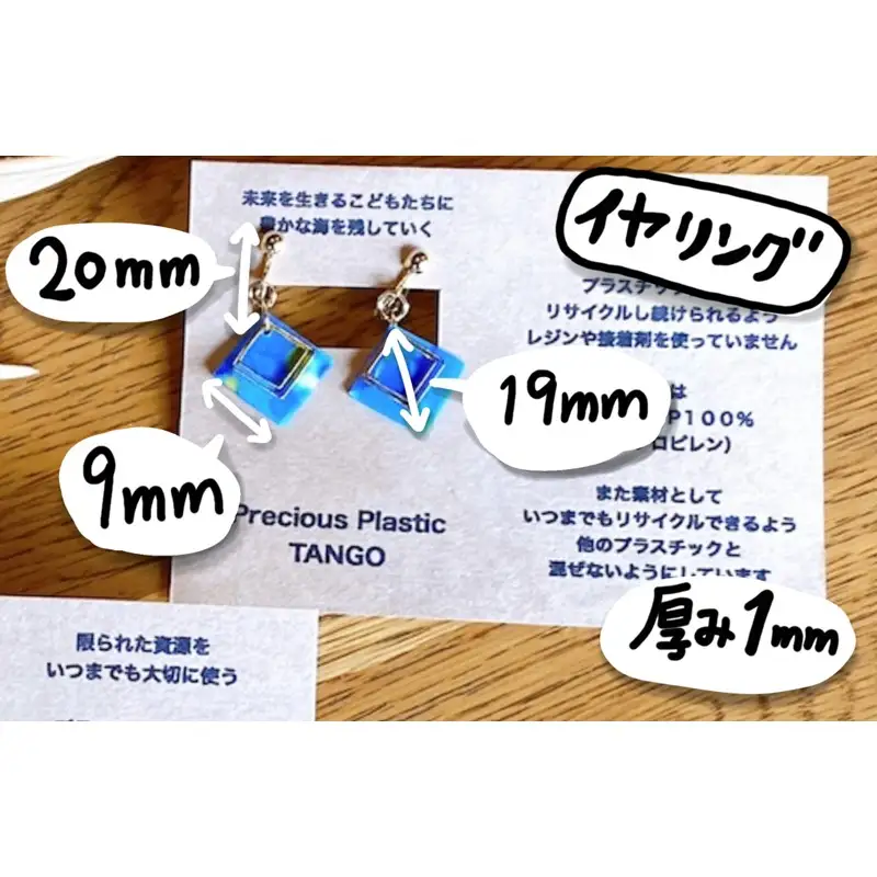 Precious Plastic イヤリング