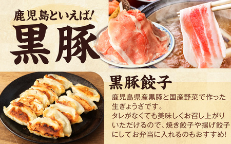 AS-086 【お楽しみ福袋B】鹿児島の美味しいが届く！5品以上