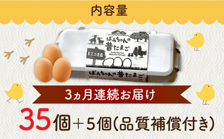 【全3回定期便】ばあちゃんの昔たまご 計120個（35個+5個×3回（品質補償付き）） / 佐賀県 / 素ヱコ農園 [41AEAA007]