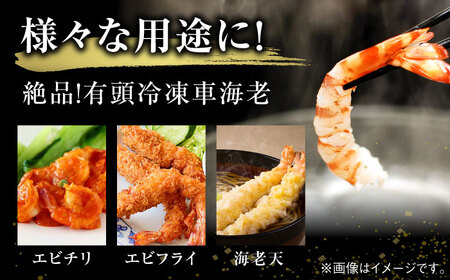 【訳あり】伊万里産 冷凍車海老（加熱用） 計2.5kg（250g×10袋） / 佐賀県 / 株式会社拓水 伊万里クルマエビセンター [41AEAJ013]