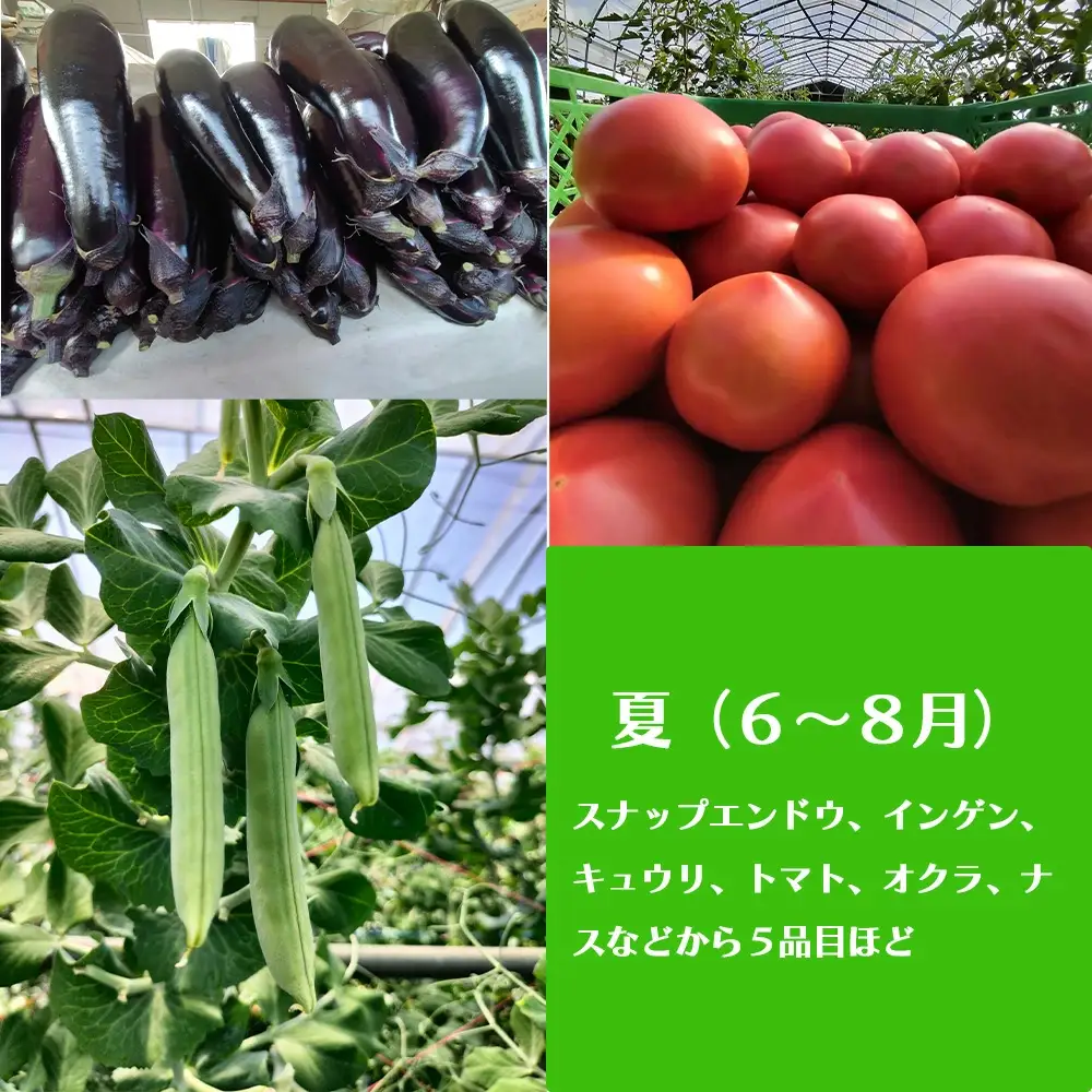 四季折々の野菜・山菜セット（5品目ほど）　45P3203