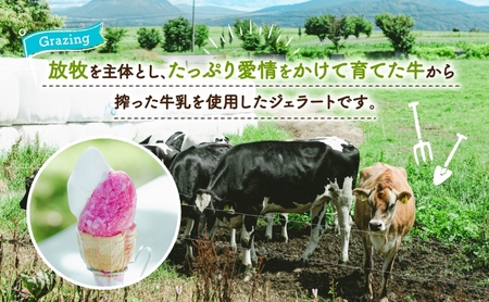 北海道 まきばのジェラート ホワイトクリーム 130ml×6個 ジェラート ミルク アイス スイーツ デザート ギフト 氷菓 お取り寄せ グルメ 牛乳 保存料不使用 アイスクリーム 牧場 自家製 レークヒルファーム 送料無料 洞爺湖 
