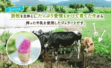 北海道まきばのジェラート 2種 各3個 計6個 ホワイトクリーム 白花豆 牛乳 ミルク 和風 まめ アイス スイーツ デザート ギフト 氷菓 お取り寄せ 牧場 自家製 保存料不使用 新鮮 レークヒルファーム 送料無料 洞爺湖町 