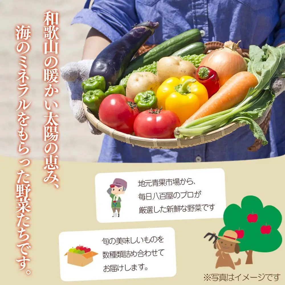 野菜セット　旬の新鮮野菜 大満足な13種以上　印南町　人気　やさい