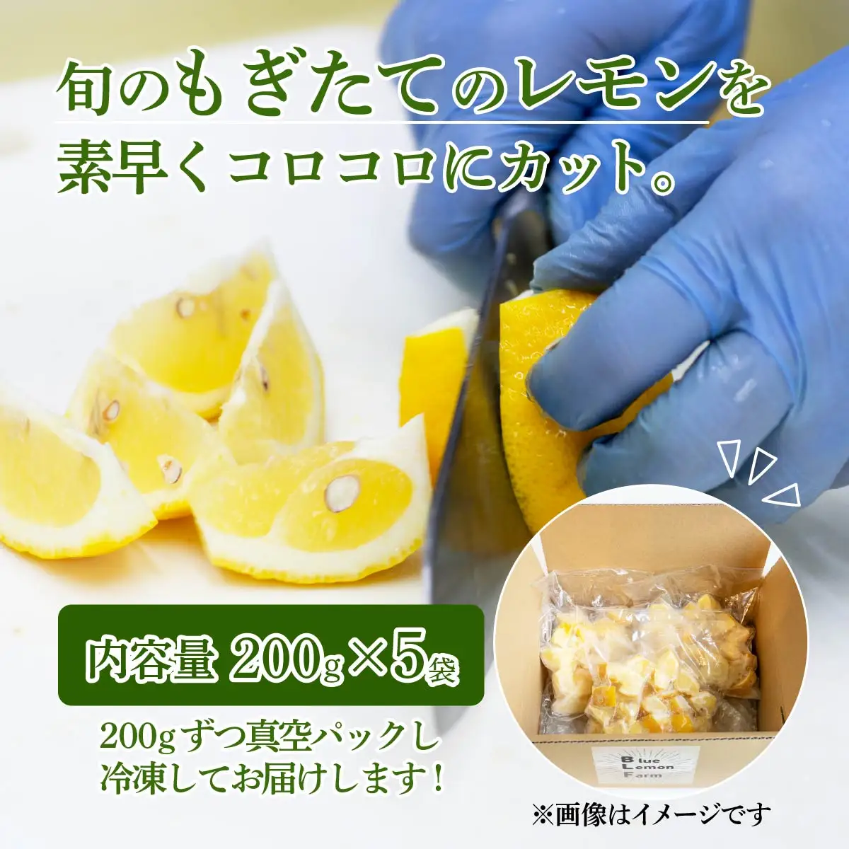 レモン 冷凍 カットレモン 200g×5パック 数量限定