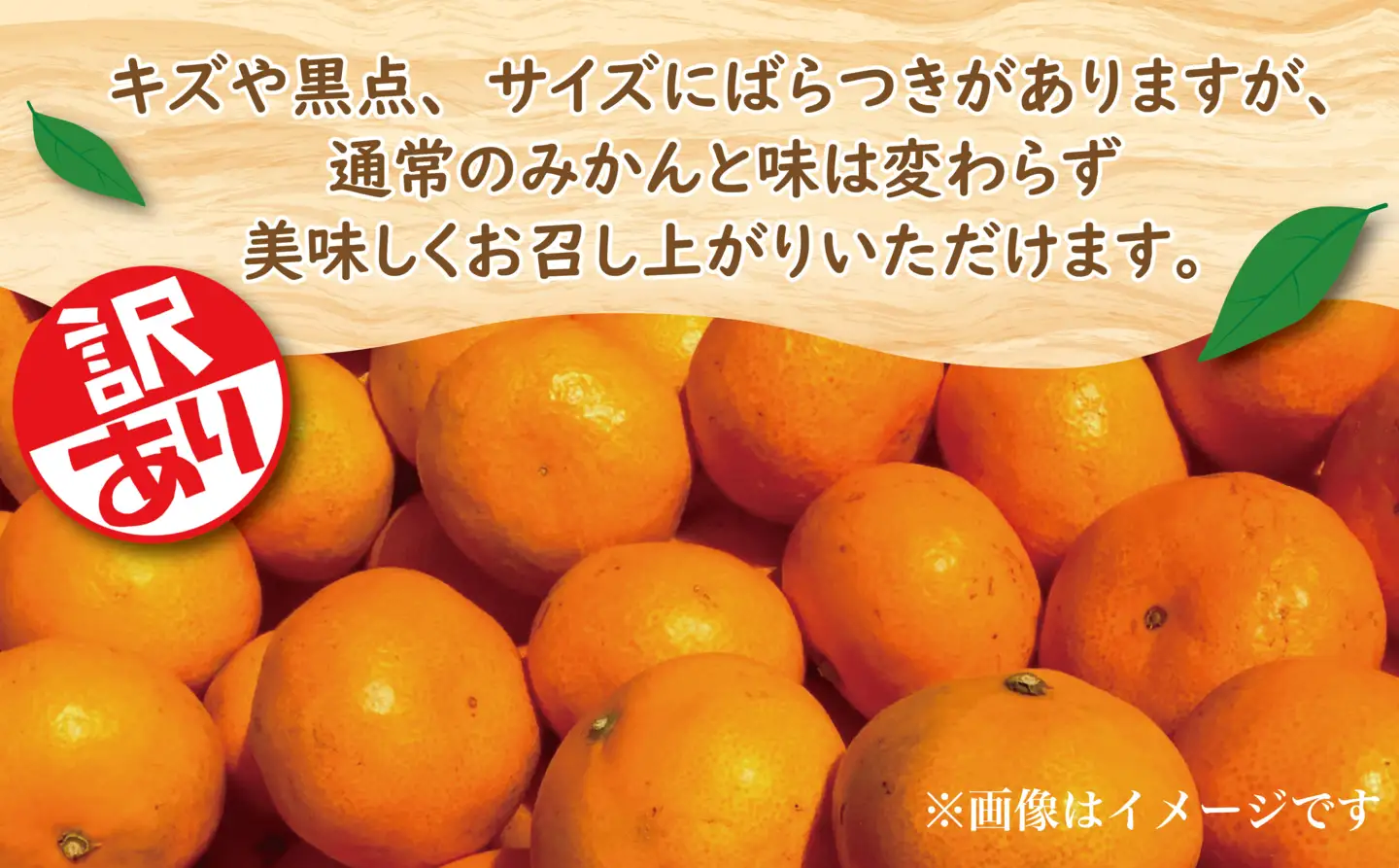 極早生 みかん 由良 約 2.5kg 訳あり みかん
