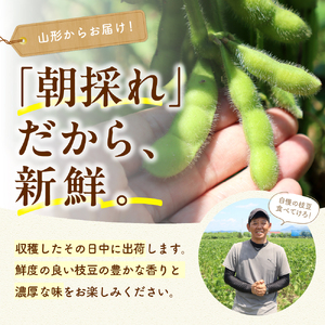【2026年 全2回 枝豆定期便】 「湯あがり娘」と「秘伝豆」 各1.5kg よってけポポラ提供 hi003-164 （枝豆 えだまめ 湯あがり娘 秘伝豆 250g×12袋 食べ比べ 定期便 セット たっぷり 3kg ビール おつまみ たっぷり 送料無料 特産品 お手軽 お酒 おかず 弁当 時短 ずんだ 晩酌 東北 山形県 東根市）