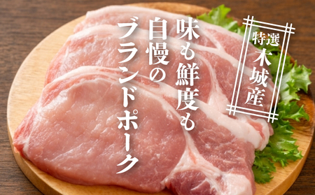 特選木城産 豚ローススライス 500g×2 _K56_0019_2