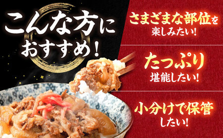 【3回定期便】肉ざんまい定期便（大家族向け・大容量） / 牛肉 [IAX048]