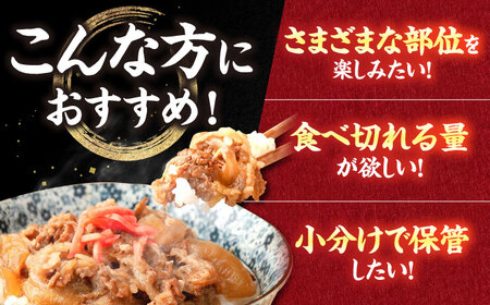【6回定期便】肉ざんまい定期便（一人暮らし向け・少量） / 牛肉 [IAX049]
