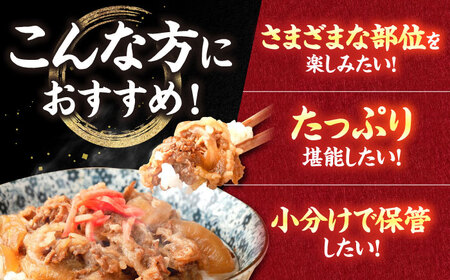 【6回定期便】肉ざんまい定期便（大家族向け・大容量） / 牛肉 [IAX050]