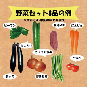 【野菜】 野菜セット 8品 ( みかんたまご 10個入り ) | 愛媛県 松山市【VEG037】