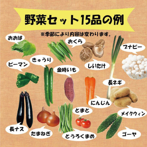 【野菜】 野菜セット 15品 ( みかんたまご 10個入り ) | 愛媛県 松山市【VEG038】