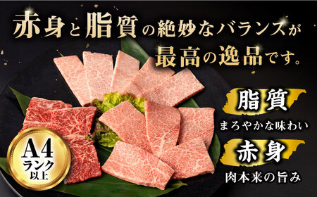 【12回定期便】長崎和牛 モモ焼肉スペシャル 計1kg（モモ600g・肩ロース200g・カルビ200g）/ 牛肉 モモ もも ロース ろーす 肩ロース カルビ かるび 焼肉 焼き肉 小分け 牛肉定期便 / 大村市 / おおむら夢ファームシュシュ[ACAA176]