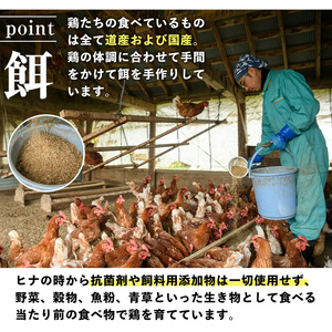 【A7052】昔ながらの庭先たまご(40個・サイズ混合) 卵 玉子 たまご 平飼い 40個 濃厚 うまみ 卵かけご飯 目玉焼き 卵焼き ごはん おかず【ファームあるむ】