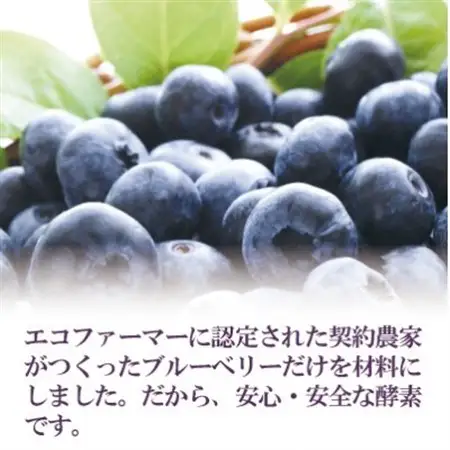 5倍に薄める酵素・まるごとブルーベリー_飲料・ドリンク  果汁飲料 _【配送不可地域：離島】【1500617】