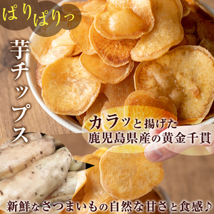 鹿児島県産 黄金千貫 使用 芋けんぴ 芋チップ セット(合計20袋・各10袋)【曽於市観光協会】A483