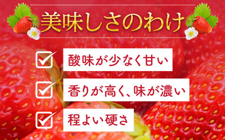 【2027年1月-発送】 いちごゆめのか 250g × 4パック [SAC008] いちご