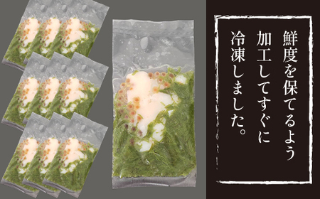 簡単 流水解凍 海鮮丼の具！ ぶっかけ海鮮 10人前 【十六家】 刺身 刺し身 さしみ 生食 生食用 海鮮 海鮮丼 めかぶ メカブ 海老 えび エビ 烏賊 いか イカ 帆立 ほたて ホタテ いくら イクラ 冷凍 冷凍発送 寿司ネタ 小分け 個包装 便利 手軽 時短 人気 おすすめ